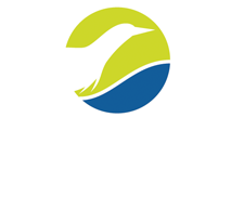 De Wijers