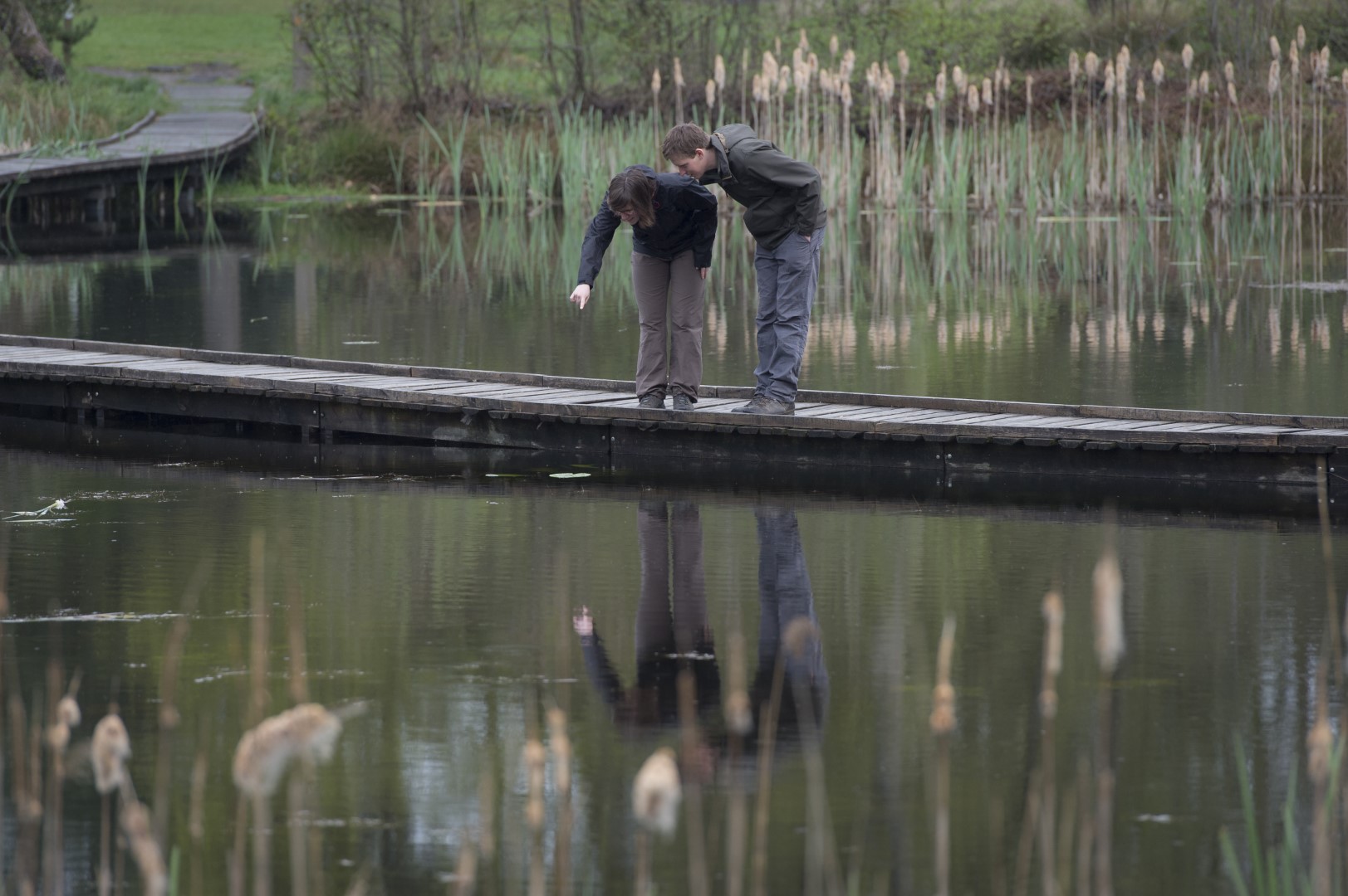 Fotowedstrijd