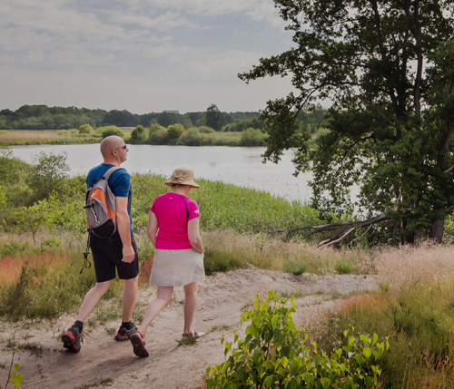 Wandelen