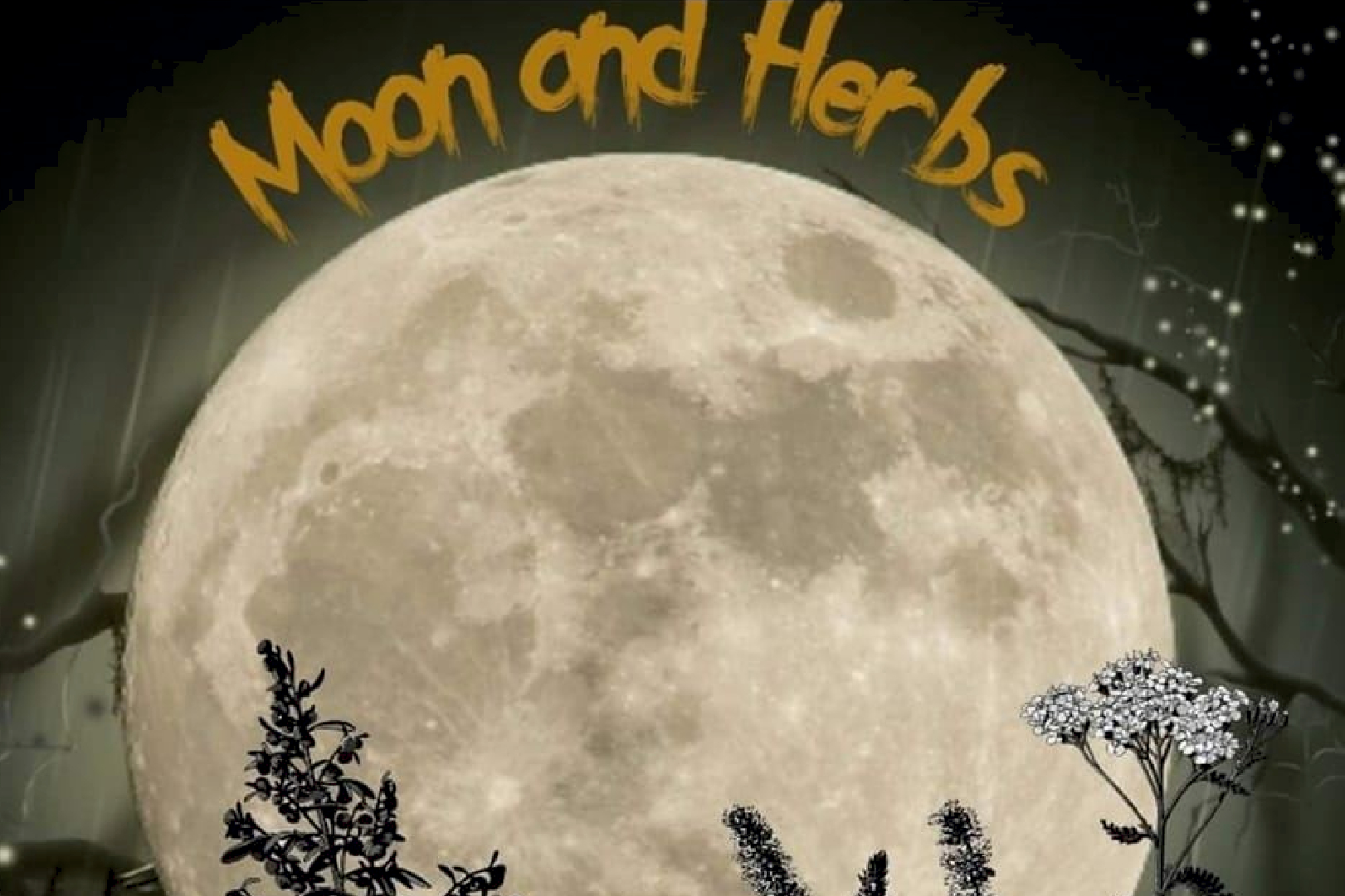 Moon and Herbs